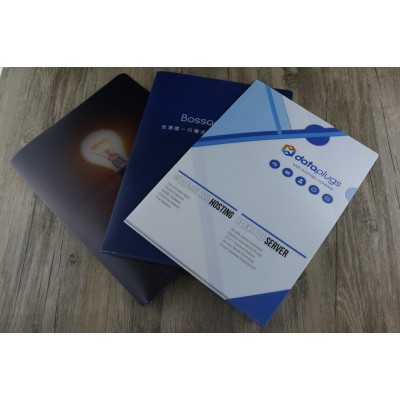 Plastic folder / 彩色膠Folder